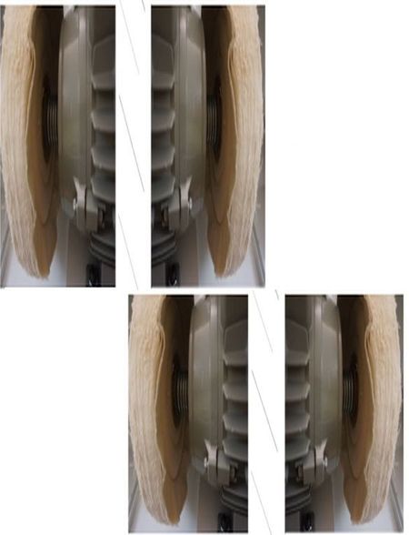 Elektromotor – mit Zunge als Tandemantrieb, zwei E Motoren zu einem Doppelwellenmotor koppeln, im Bild eine Synonymdarstellung 2 x 2 E Motoren (Tandem) mit Polierscheiben