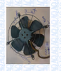 Elektromotor 10) Ventilatormotor Aussenläufer - Umkehrprinzip, hier im Bild ein Axialventilator 6 Schaufeln und 1 Schutzgitter gegen berühren.