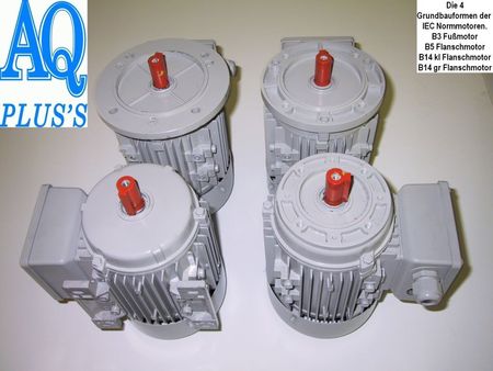 Elektromotor die 4 Grundbauformen ohne Kombibauformen, im Bild die 4 D Mot mit Welle nach oben das man Flansche und Lagerschild sieht, die stehen senkrecht auf der Lüfterhaube in hellgrauer Farbe