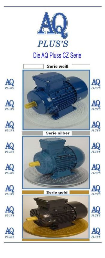 Was bedeutet Servicefaktor SF 1,25 bei Elektromotoren - der Elektromotor mit Servicefaktor in den 3 Variationen im Bild zu sehen 